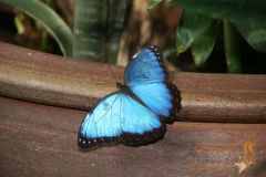IMG_0804