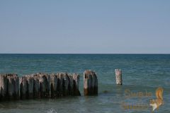 IMG_2696