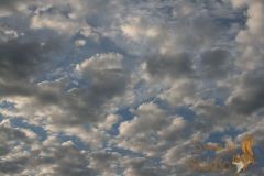 IMG_6931