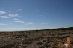 IMG_7144