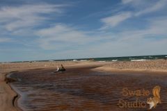 IMG_7224