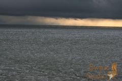 IMG_7820