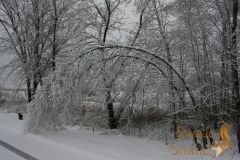 IMG_7882
